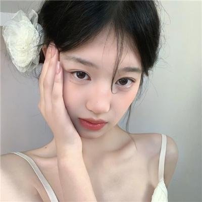 挚爱极地
